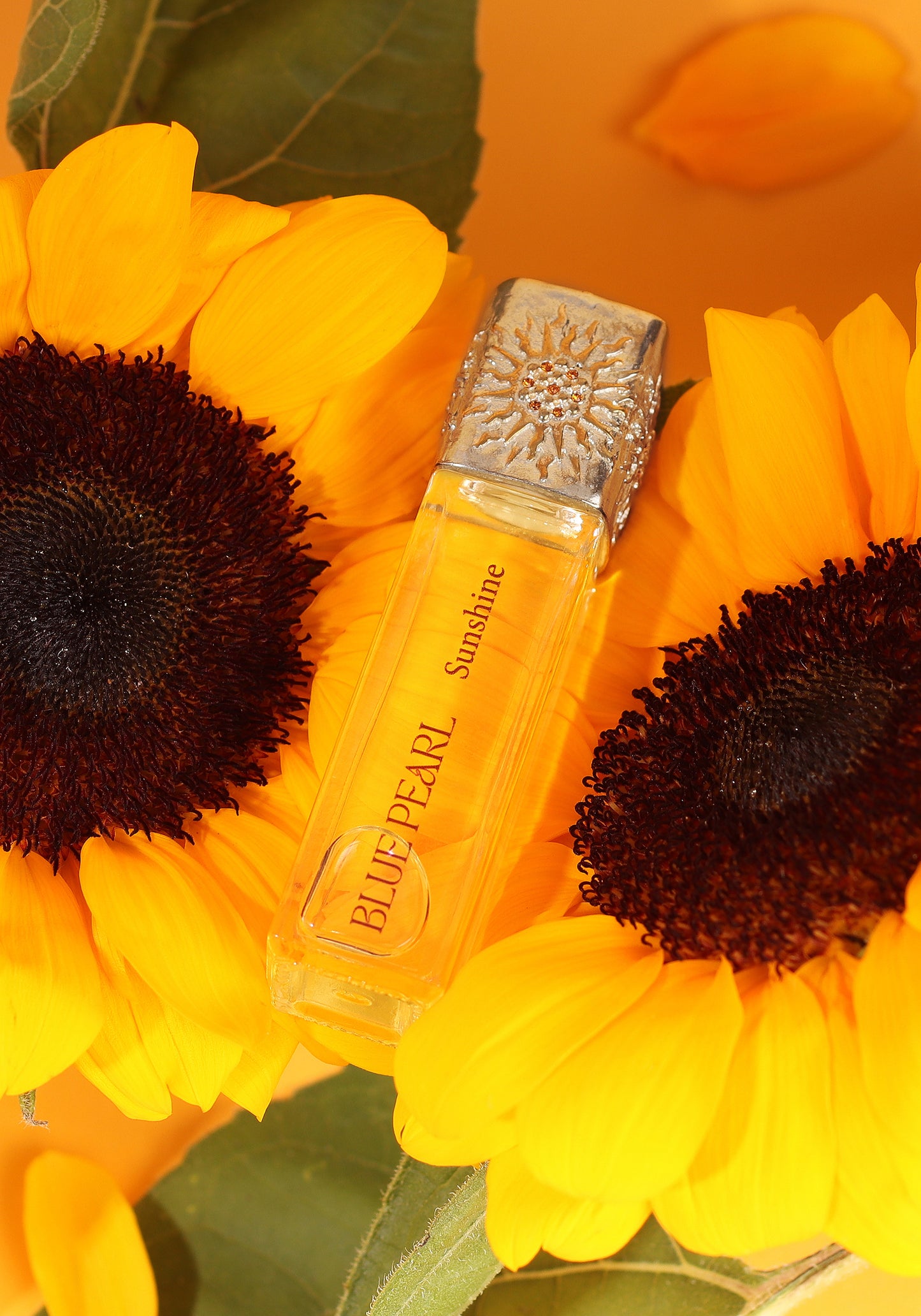 SUNSHINE - Light Energy